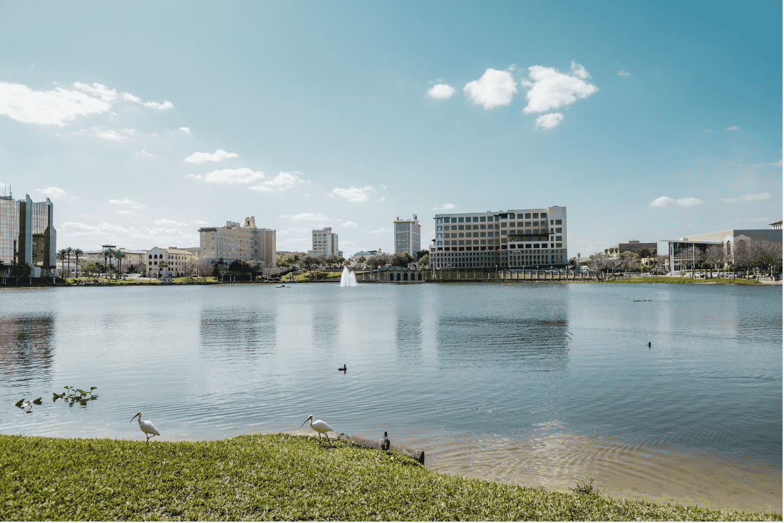 Lake with a fountain and mid-rise city buildings on the far shore, with two white ibises on the grass in the foreground